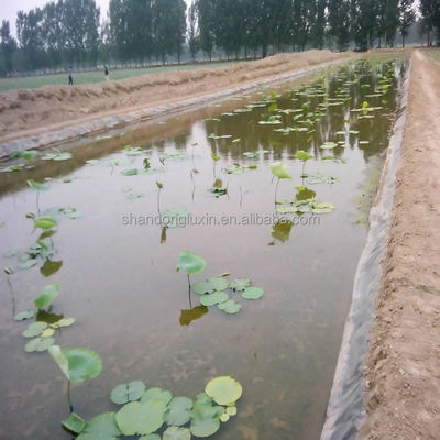 0.75mm HDPE de estanque de revestimiento y 1.0mm de geomembrana del tanque de peces para la eficiencia de la cría de camarón