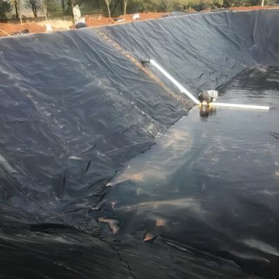 Geomembrana HDPE de alta densidad para estanques de peces y camarones con función impermeable