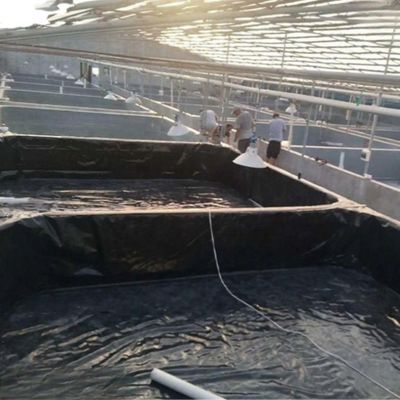 Estándar ISO9001 Geomembrana de HDPE Prevención de agua y fugas con venta directa