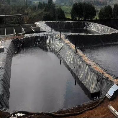 Geomembrana EVA de polietileno de alta densidad negro para tanques de almacenamiento de agua agrícola
