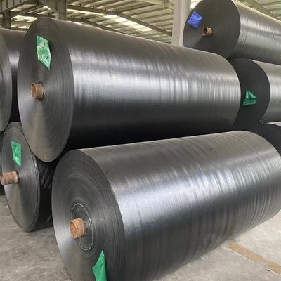 Directamente de los fabricantes PE Tarpa Negra para la exposición a la luz solar ancho 2-12m
