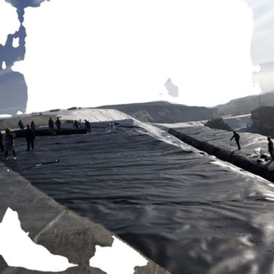 Capacidad de diseño gráfico Estilo industrial HDPE Geomembrane Liner 1.0mm para estanque