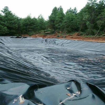 Envasador de estanques de peces de geomembrana para tanques de almacenamiento de agua longitud 50-200m Estándar ASTM GRI-GM13