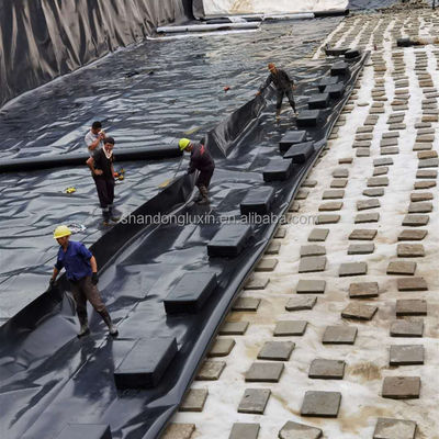 Geomembranas de HDPE negro La protección definitiva para la acuicultura