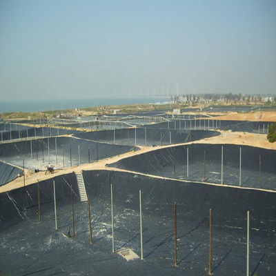 Geomembrana de HDPE negro personalizable para estanques de peces de 0,5 mm Estilo de diseño industrial de granja