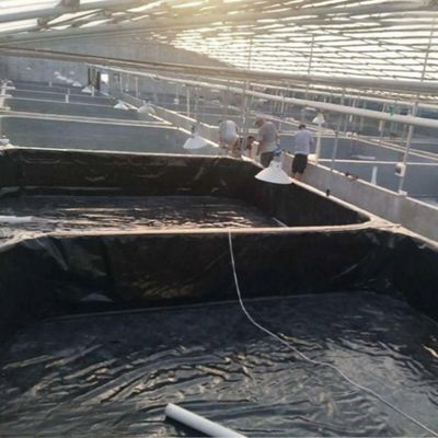 Con una capacidad de solución de proyecto