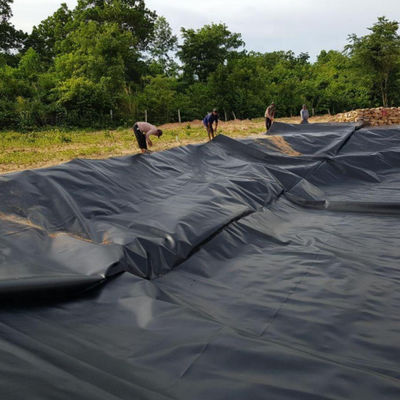 1.5mm Geomembrana de HDPE negro para la presa del lago Liner Liner de la granja Estilo de diseño industrial