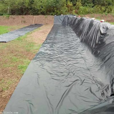 1.5mm Geomembrana de HDPE negro para la presa del lago Liner Liner de la granja Estilo de diseño industrial