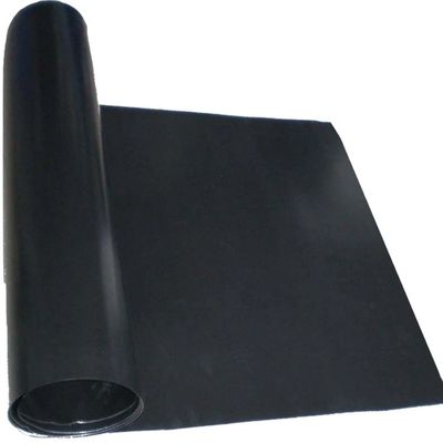 Superficie doble lisa Geomembrana negra para cubre estanques de peces 0,3 mm 2,5 mm sitio de vertedero