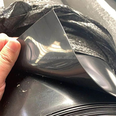 Agricultura de camarones de Singapur Geomembrana de HDPE impermeable de 0.3 mm con inspección in situ