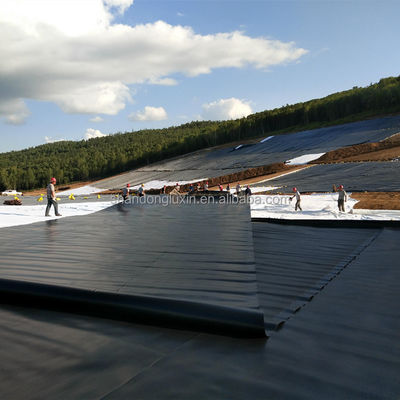 Agricultura de camarones de Singapur Geomembrana de HDPE impermeable de 0.3 mm con inspección in situ