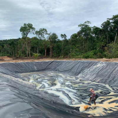 Agricultura de camarones de Singapur Geomembrana de HDPE impermeable de 0.3 mm con inspección in situ