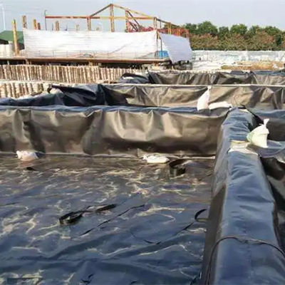 Geomembrana de HDPE impermeable para jardines en techos o estanques de camarones Duradera y duradera
