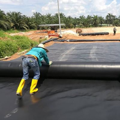 Superficie doble lisa de 0,5 mm de HDPE Negro Geomembrane Liner para depósitos de cultivo de camarones de pescado