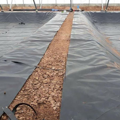 Geomembrana de HDPE resistente al agua para revestimiento de presa de tanque de lago artificial de 1 mm-2 mm de espesor