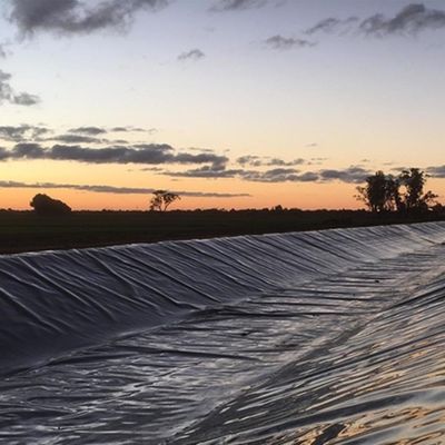 1.5mm HDPE Geomembrane Fish Pond Liner para vertederos directamente de los fabricantes