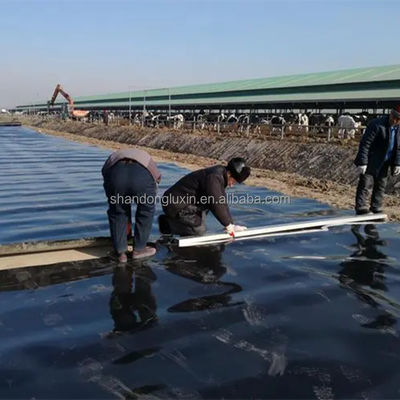 Geomembrana de polipropileno de revestimiento HDPE para piscifactoría de camarón estanque de plástico a prueba de agua
