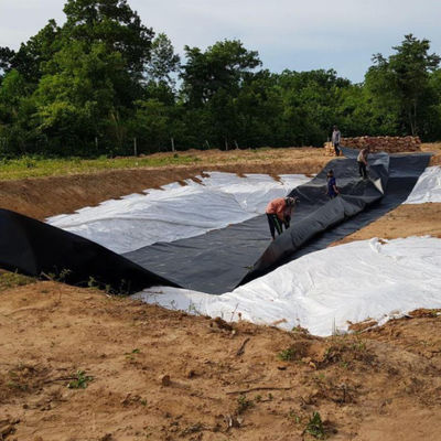 EPDM EVA HDPE Lámina de estanque Hoja de plástico para peces camarones Piscinas de natación Granja de estanques Presa