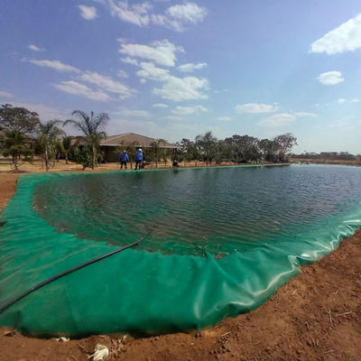 ASTM GRI-GM13 Estándar 1 mm 2 mm de geomembrana de HDPE para estanques de pescado para piscifactoría