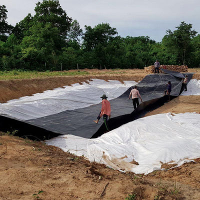 Geomembrana HDPE de doble textura de 1 mm para el revestimiento de la presa de plástico impermeable