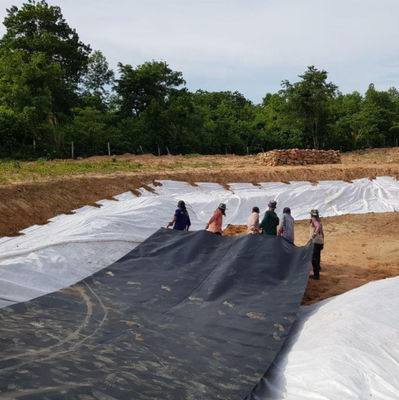Geomembrana HDPE de doble textura de 1 mm para el revestimiento de la presa de plástico impermeable