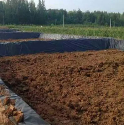 Geomembrana HDPE de doble textura de 1 mm para el revestimiento de la presa de plástico impermeable