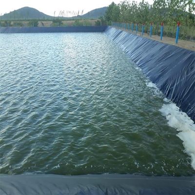 Agricultura de camarones de pescado Geomembrana de HDPE de 0,5 mm Polietileno Liner Rollos negros Impermeable