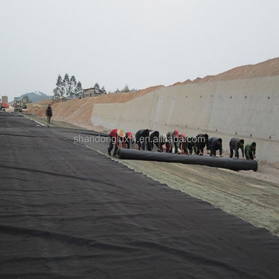1m-8m de ancho Negro Blanco Verde Azul Liner de geomembrana HDPE para proyectos ambientales