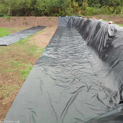 ASTM GRI-GM13 Geomembrana prefabricada de HDPE para estanques de pescado 1 mm para lago artificial