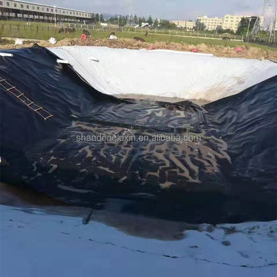 Linterna de estanque de pescado de HDPE de geomembrana lisa moderna para vertederos de 1 mm a 2 mm longitud 50-200m
