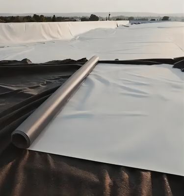 Geomembrana lisa prefabricada Geomembrana texturizada de 2 mm para diseño impermeable de HDPE