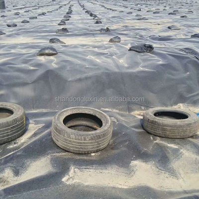 ASTM GRI-GM13 Estándar HDPE Geomembrana lisa para estanques de peces para tanques de almacenamiento de agua