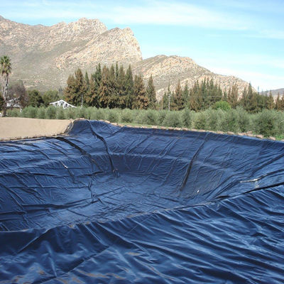 Geomembranas PVC LDPE HDPE Liner de estanque de peces Lintera de presa longitud 50-200m espesor 0.3mm-2.8mm