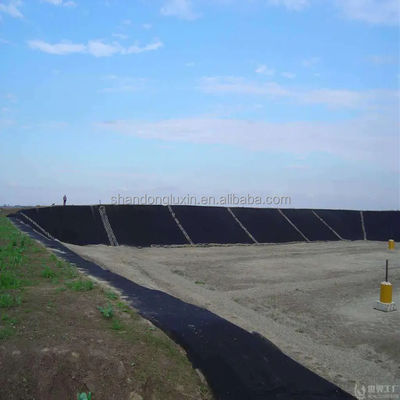 Revestidor de estanques de pescado de HDPE impermeable 30 mil 60 mil Geomembrana negra para tanques de almacenamiento de agua