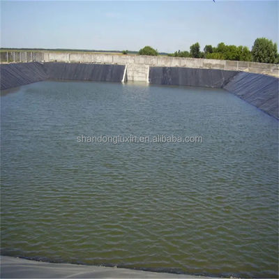 Revestidor de estanques de pescado de HDPE impermeable 30 mil 60 mil Geomembrana negra para tanques de almacenamiento de agua