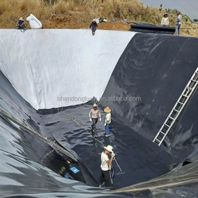 Solución total para proyectos estilo de diseño industrial HDPE geomembrana tanques de piscifactoría