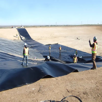 Solución total para proyectos estilo de diseño industrial HDPE geomembrana tanques de piscifactoría