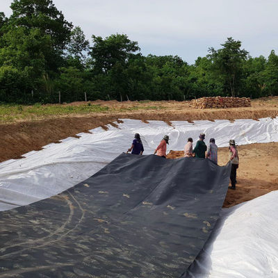 Superficie doble lisa 0,5 mm de estanque de piscifactoría con geomembrana impermeable