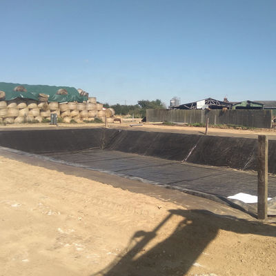 Superficie doble lisa 0,5 mm de estanque de piscifactoría con geomembrana impermeable