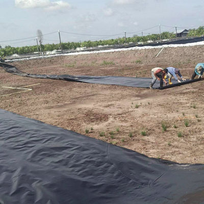 1m-8m de ancho doble liso negro HDPE de estanque para piscinas de cultivo de pescado camarón