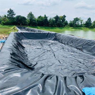 Membrana de plástico de chapa de HDPE para el depósito de agua y el tanque de peces en color negro