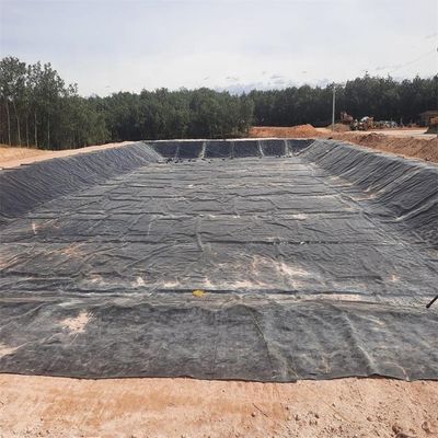 Membrana de plástico de chapa de HDPE para el depósito de agua y el tanque de peces en color negro