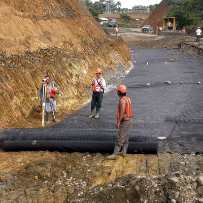 Membrana de plástico de chapa de HDPE para el depósito de agua y el tanque de peces en color negro