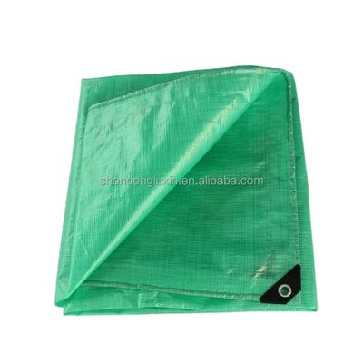 Tela de tejido de plástico de lonas de PE tejido de tamaño estándar para la cobertura industrial agrícola