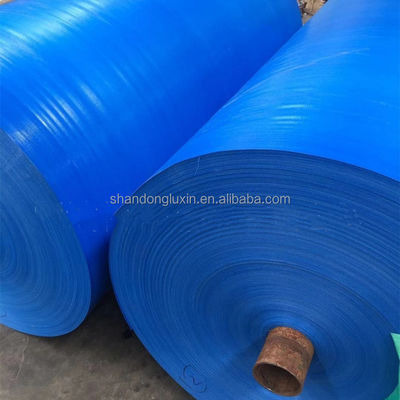 Retardante del fuego Tarpa azul PE de bandas ligeras para cubiertas de resistencia industrial