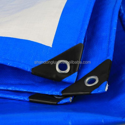 Tarpa PE de peso ligero azul-plata con densidad de ojos 6*6-16*16 en el mercado de Vietnam