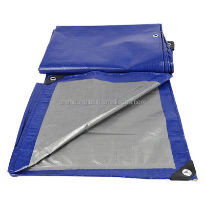 Tarpa PE de peso ligero azul-plata con densidad de ojos 6*6-16*16 en el mercado de Vietnam