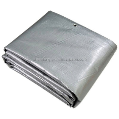 Tarpa PE de peso ligero azul-plata con densidad de ojos 6*6-16*16 en el mercado de Vietnam