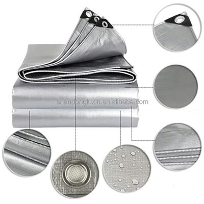 Tarpa PE de peso ligero azul-plata con densidad de ojos 6*6-16*16 en el mercado de Vietnam