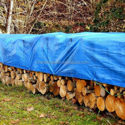 Tarpa azul de PE para tejidos de HDPE al aire libre y techo laminado de LDPE